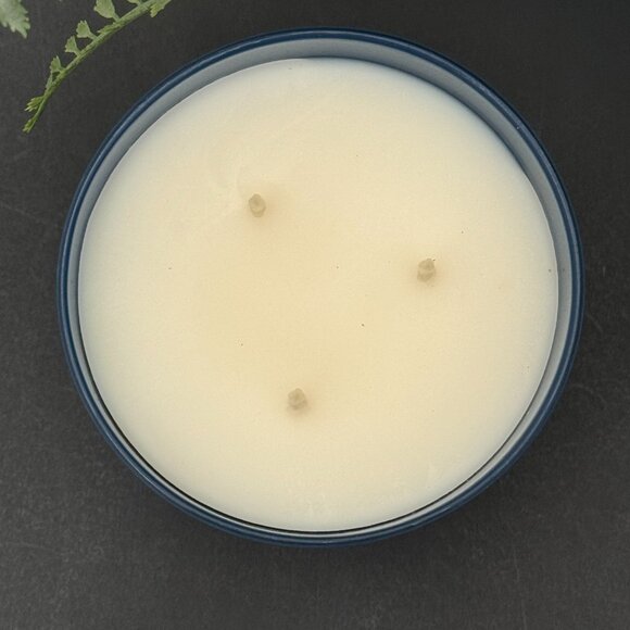 BBW Sweet Carrot Cake Bath & Body Works 3 Wick Candle - Picture 8 of 12